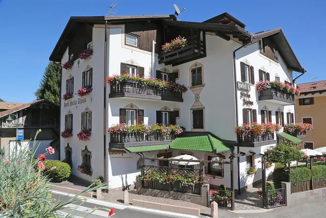 Hotel Stella Alpina