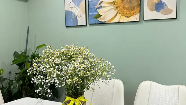 Green House - Căn hộ có bếp riêng biệt tại Đà Lạt