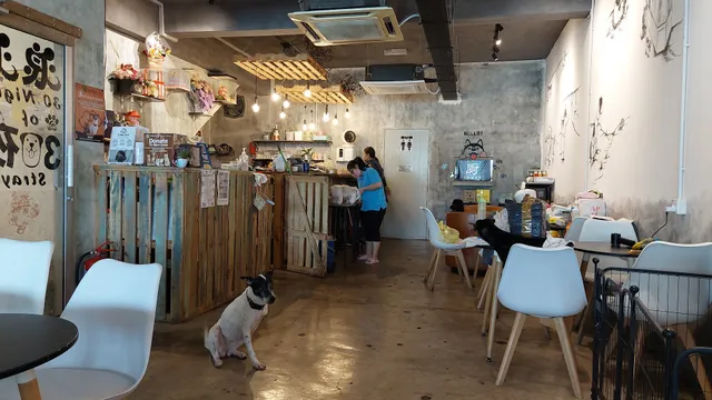 30 Nights of Stray Dog Adoption Cafe