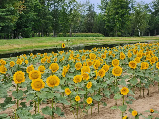 Tendercrop Farm at the Red Barn