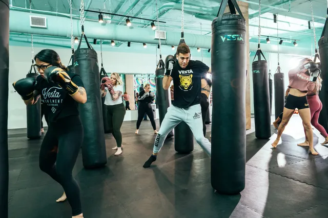 VESTA Fitboxing
