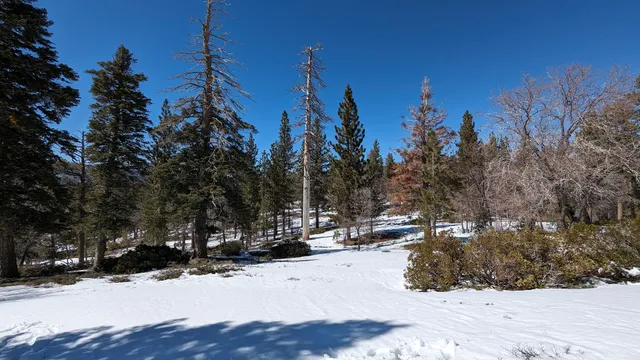 Skyline Trail 2N10 Public Access