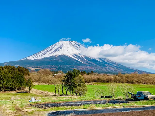 富士ヶ嶺農林畜産物生産組合直売所