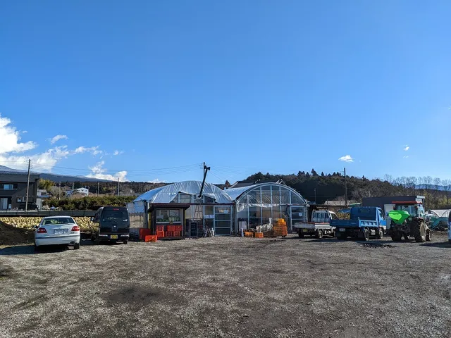 小澤ベジタブル