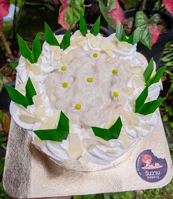 Little Cake ชุมพร