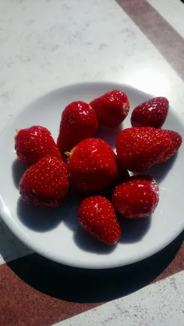 Bar , Snack Des Alpilles