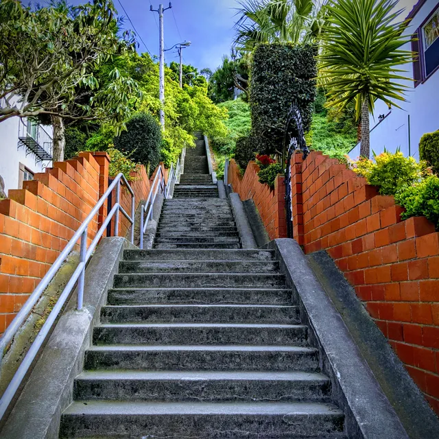 15th Avenue Steps