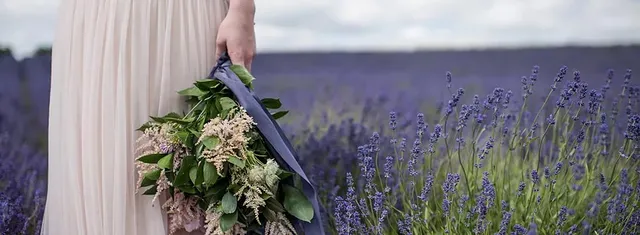 The HIVE @ Lavender Field Estate