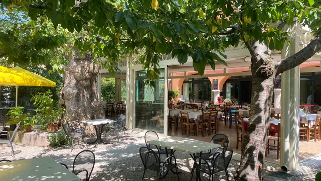 Ristorante Al Platano