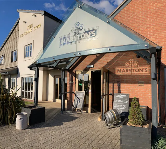 Grazing Cow at Lawley
