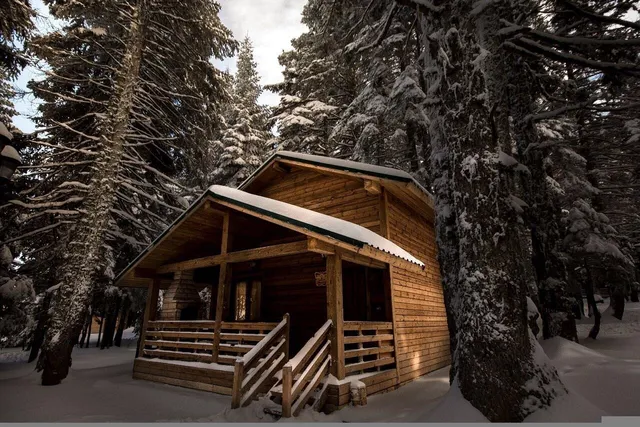 Karinna Orman Koskleri