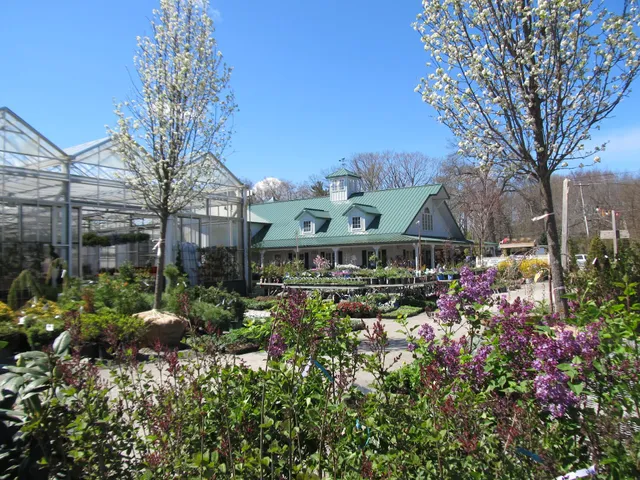 Weston Nurseries of Chelmsford