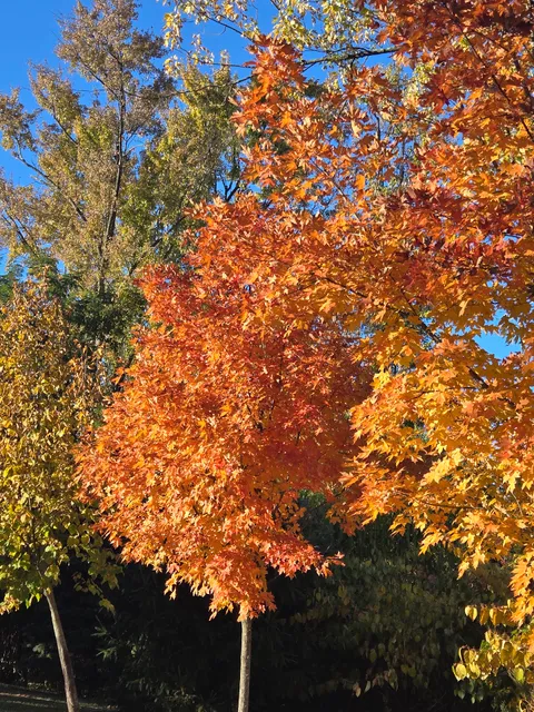 Joseph B. Clarke Trail Head