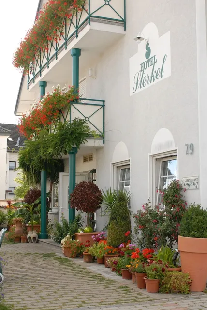 Hotel Sterkel