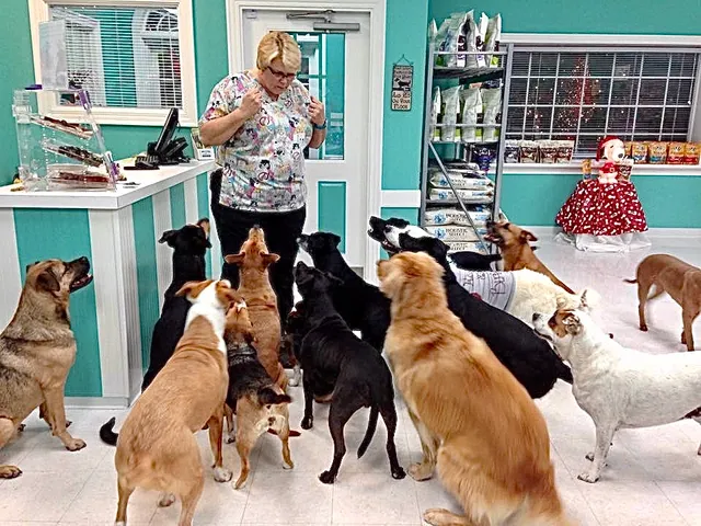 Pet's Best Friend, Inc.