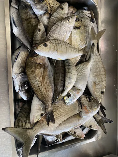 Trattoria Sa Quarta Regia