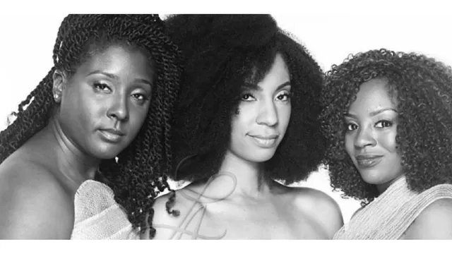 Lady Ayri Natural Hair Care LLC