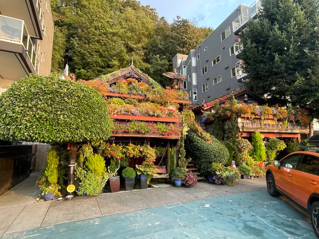 Randie Stone’s Flower Houses