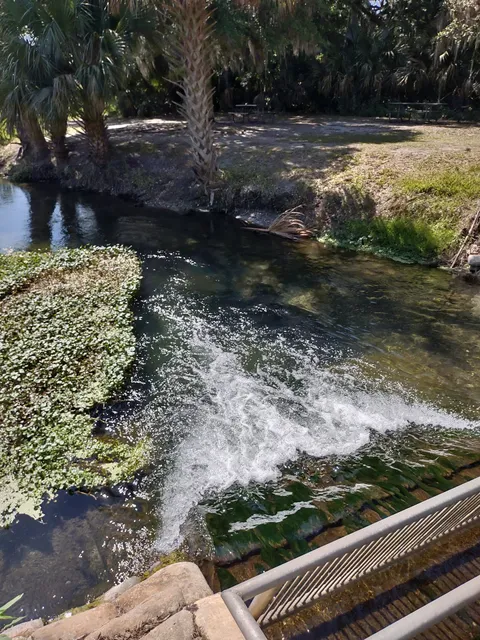 Gemini Springs North Trailhead