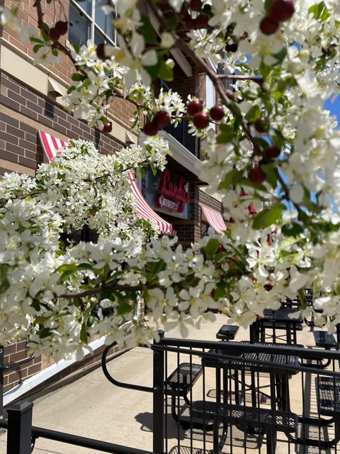 Lundy's Ice Cream - Waunakee, WI