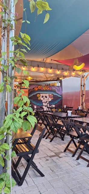 Waka Waka Culinária Mexicana