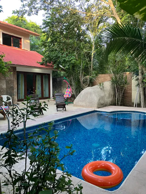 Home's Jungle 15 minutes from the airport