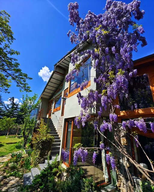 Raison D'être by the Beas