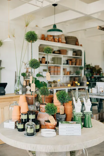 VINE plants · gifts · flowers · coffee