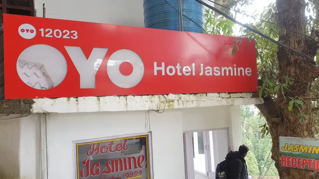 Hotel Bhandari Palace