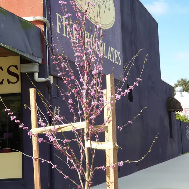 Hahndorf’s Fine Chocolates