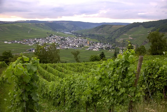Feriengästehaus Seibel Inh. Christiane Bläsius