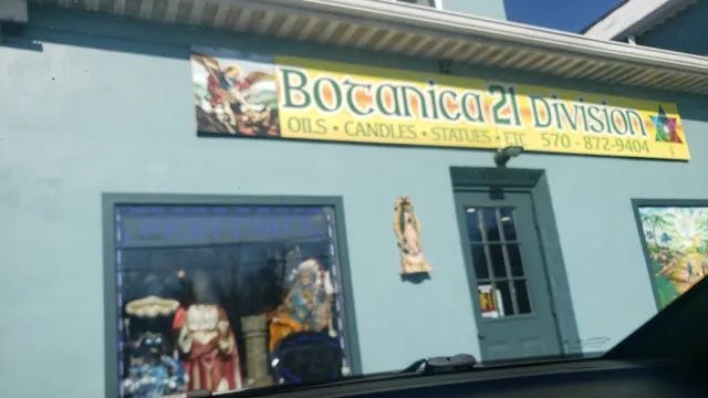 21 Division Botanica