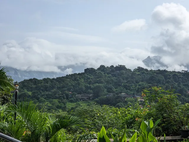 GAUDHAM - PERIYAR FARMS