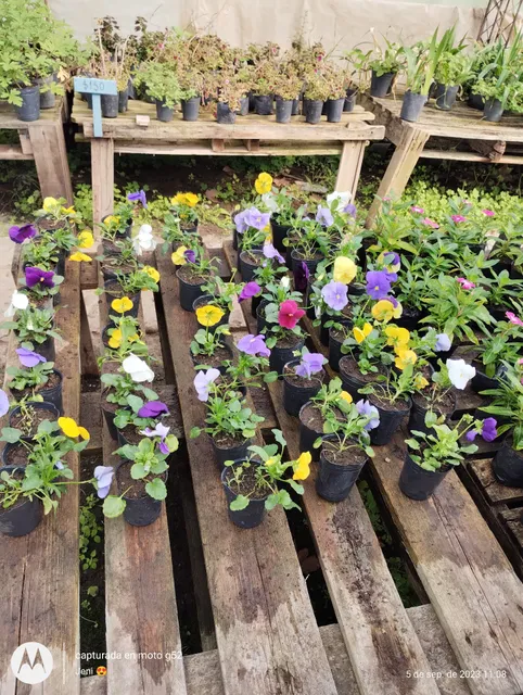 Centro Agroecológico Rosario - Vivero Agroecológico de Tablada