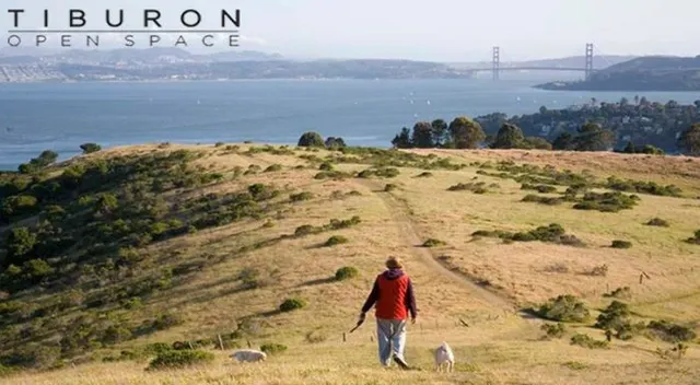 Tiburon Open Space Committee