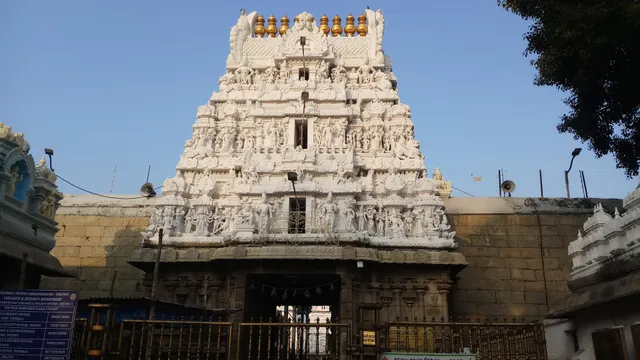 Sri Govindaraja Swamy Temple