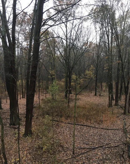 Petersburg State Game Area