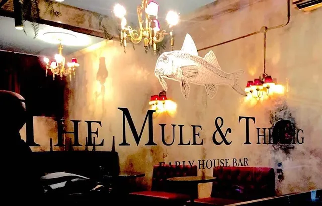 The Mule & The Pig