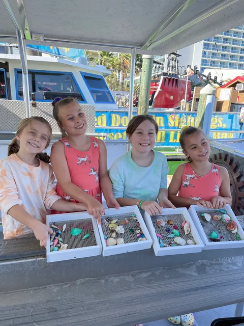 Shark Teeth and Shells