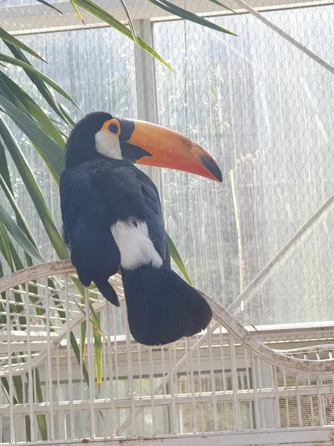 Hwajowon / Flower Bird Park