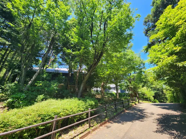 Children's Nature Park Youth Outdoor Activity Center