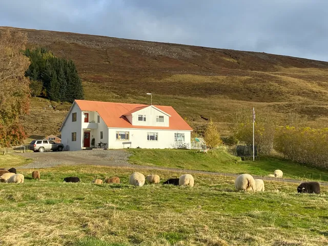 Öndólfsstaðir farm B&B