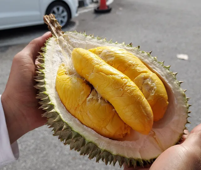 Chang Cheng Durian 长成榴莲