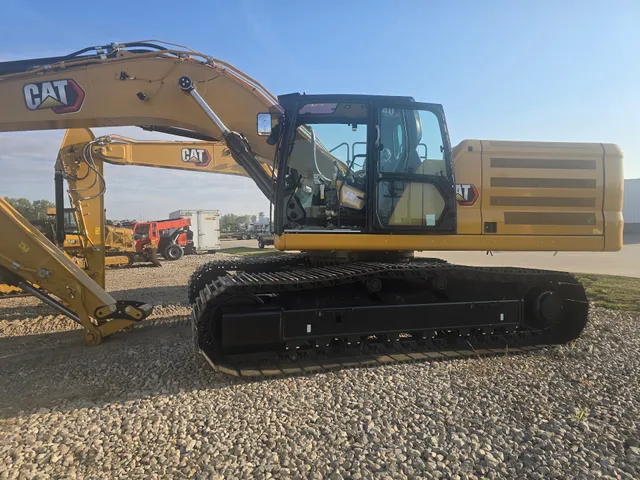 Ohio Cat - Perrysburg