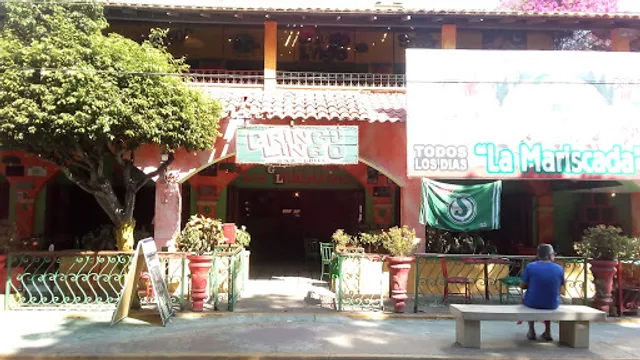 Gringo Lingo de Mazatlán