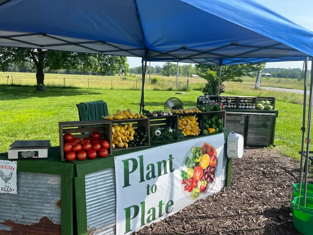 Plant to Plate - Stolz Fresh Farm Market