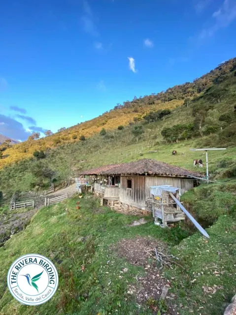 Camping The Rivera Birding