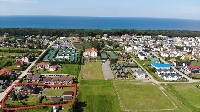 Aurelia. Grabowski Jan