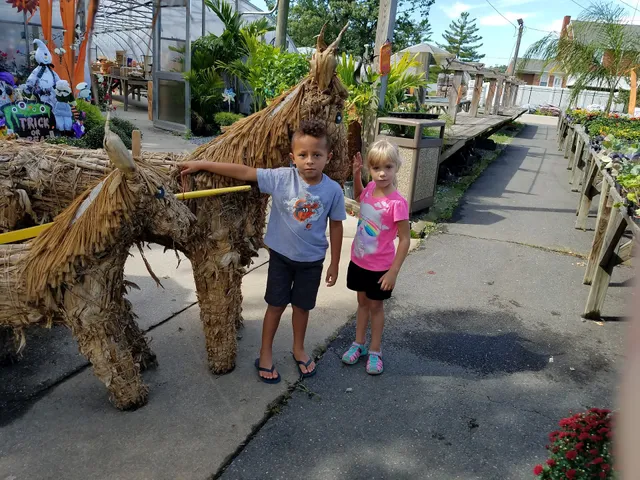 Vince's Farm and Nursery