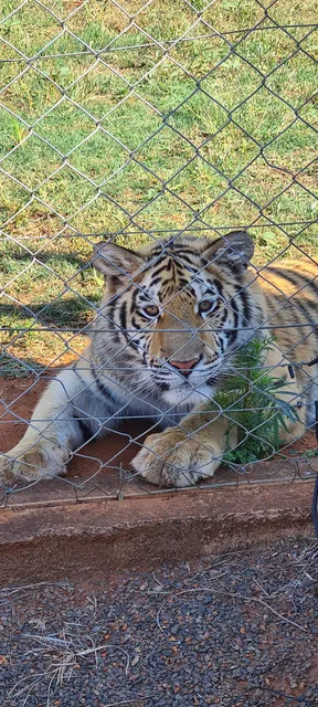 Zwartkloof Adventures